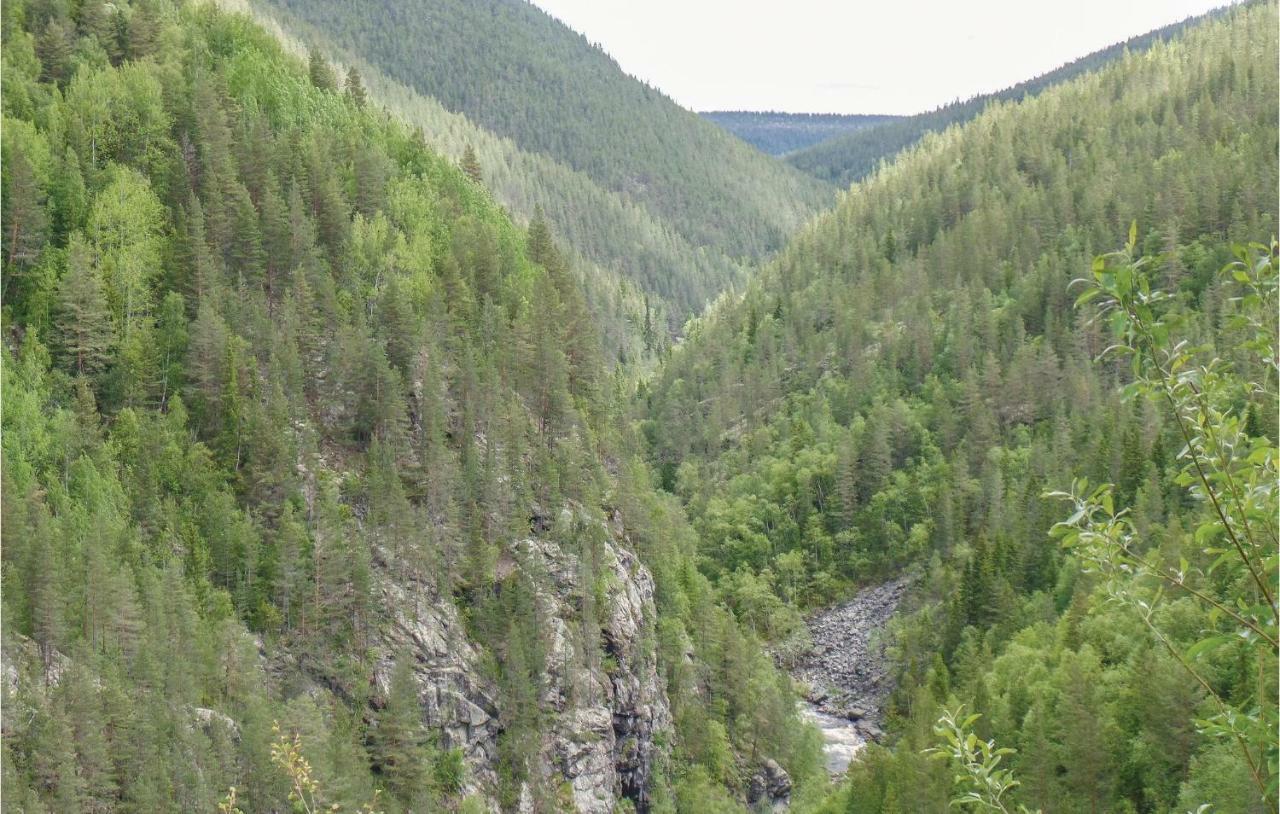 Cozy Home In Rendalen With House A Mountain View Svarstad  エクステリア 写真