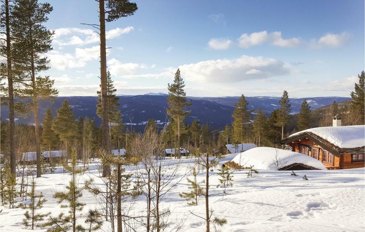 Cozy Home In Rendalen With House A Mountain View Svarstad  エクステリア 写真